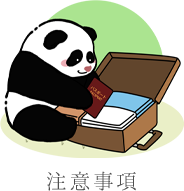 ビザについて